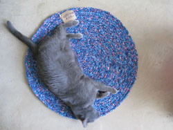 052110CatRug250.jpg