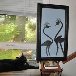062509Birds.jpg