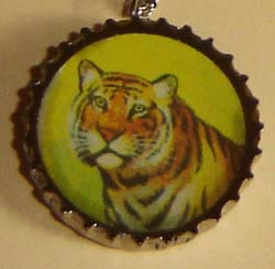 082708TigerBN250.jpg