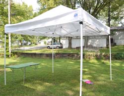 090909Tent.jpg