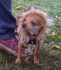 093009Chiwawa.jpg