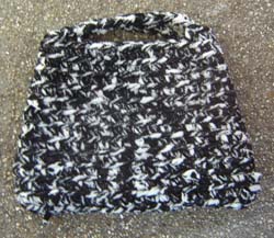 1004Purse250.jpg