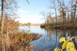 110609Walk.jpg