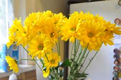 71009Flowers.jpg