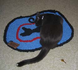CatMirror.jpg