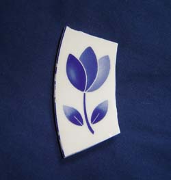 MTTulips250.jpg