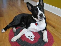 bailey-skullRug4.jpg